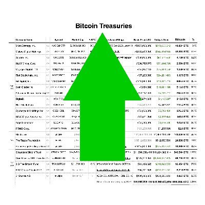Btc Treasuries